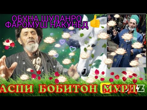 Видео: Бови РАЧАВАЛИ ЧАН КИЛО БРОМАДАЙ КУШТИ АСП МАЛУМ КАРД 😞😞