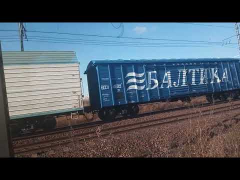 Видео: 6 ноября 2025 г.