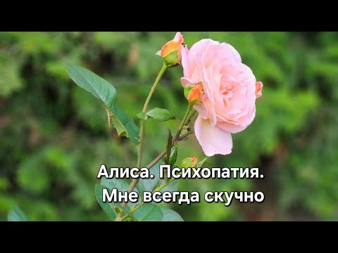 Видео: Алиса. Психопатия. Мне всегда скучно