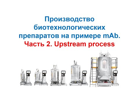 Видео: Upstream process. Производство mAb. Часть 2