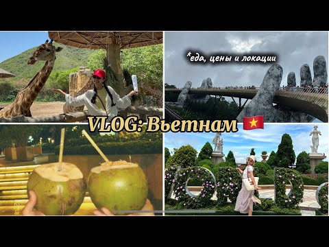 Видео: VLOG: Вьетнам моими глазами | города Нячанг и Дананг | локации, шоппинг, цены и еда