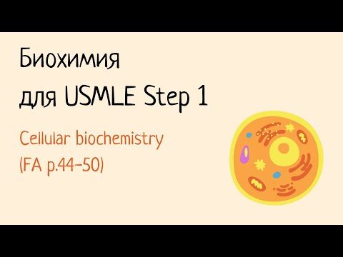 Видео: Биохимия для USMLE Step 1 - Клеточная биология
