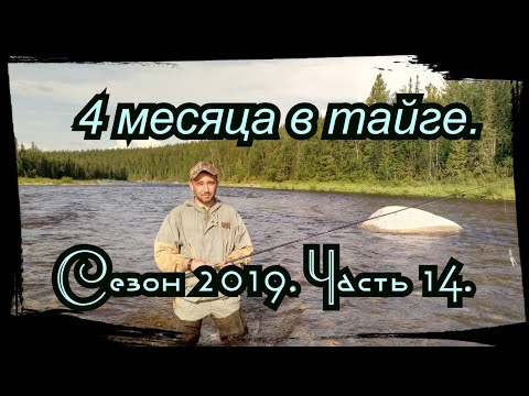 Видео: 4 Месяца в Тайге. Часть 14. Разведка реки. Жарим грибы. Проба рыбалки.