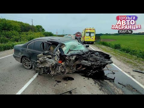 Видео: Июльнутые Торопыги! ДТП