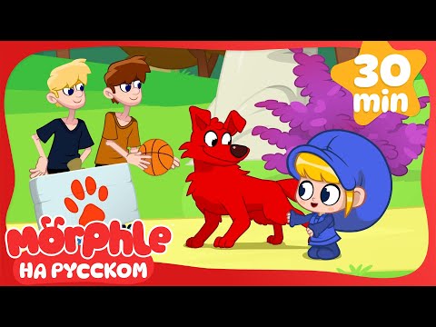 Видео: Морфл и собачьи бега!🐶Морфл и волшебные🐶питомцымультики для детей