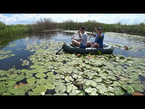 Видео: ШИКАРНАЯ РЫБАЛКА НА ЩУКУ/ Эта вертушка ТВОРИТ ЧУДЕСА!!! Ловля щуки и окуня/ ОТЛИЧНЫЙ клёв!!!