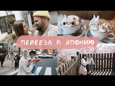 Видео: ЯПОНИЯ — ЛУЧШАЯ СТРАНА НА СВЕТЕ? // ПЕРЕЕЗЖАЕМ