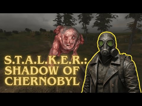 Видео: НАЧАЛИ! | S.T.A.L.K.E.R.: Shadow of Chernobyl #1