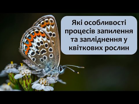 Видео: Біологія 7 клас (Балан). §29 Які особливості процесів запилення та запліднення у квіткових рослин