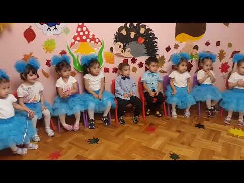 Видео: Праздник осени