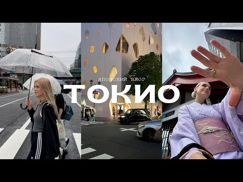 Видео: vlog: Токио влог |  чем заняться в Токио | арендовала кимоно | отель за $1000 | Япония влог