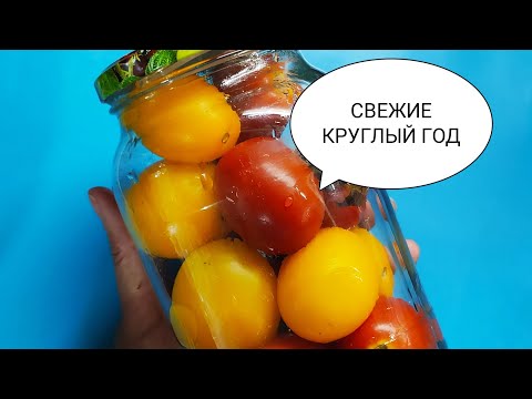 Видео: 🍅Круглый Год  Как с Грядки Заготовка на ЗИМУ