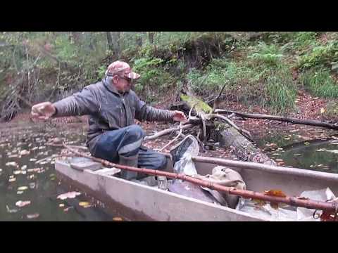 Видео: Рыбалка на р. Сережа