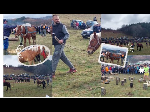 Видео: Тодоровден 2023 г. в Априлци.