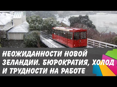Видео: Неожиданности Новой Зеландии. Бюрократия, холод и трудности на работе.