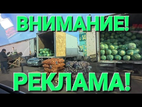 Видео: Обзор от 25 октября 2025 года. Помидоры, шамики... 😆