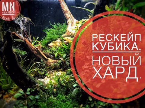 Видео: #aquqascaping #hardscape #Аквариум. #Акваскейпинг.  Рескейпинг кубика 24 литра. Новый хард.