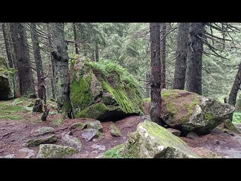 Видео: Стежками Довбуша