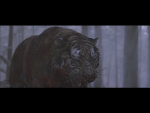 Видео: Король тигров - Hero(Skillet) RUS(поёт Саундвейв)