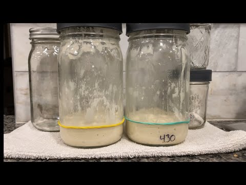 Видео: Уход за банкой для закваски…как дольше сохранить банку чистой.