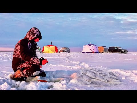 Видео: Рыбалка с ночёвкой на льду - Крупный КАРАСЬ на мормышку, здоровые лапти в каждой лунке! Жарим рыбу