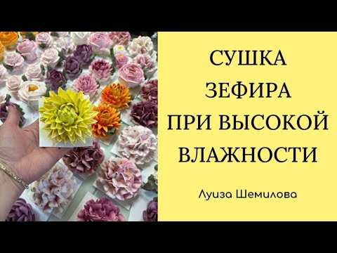 Видео: Сушка зефира при высокой влажности