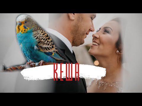 Видео: Кеша. Истории из жизни. Аудиорассказ