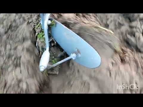 Видео: Осенняя вспашка плугом !!! Мотор сич в работе 2023!!!