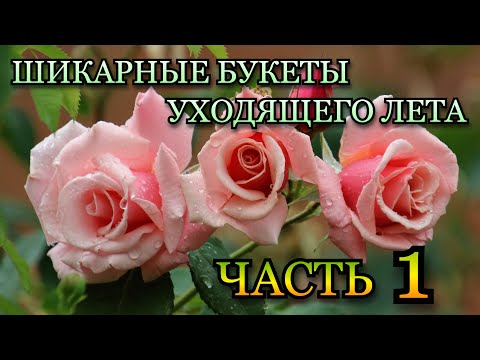 Видео: Шикарные букеты уходящего лета💐🌄🌦️ Часть 1🌹❤️