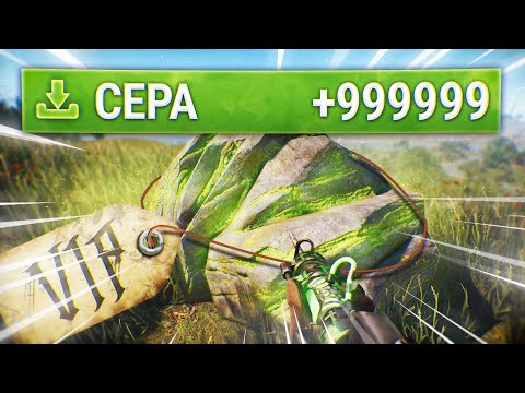 Видео: У меня Х1000 рейты! Купил ВИП на Х1000 сервере в Rust/Раст