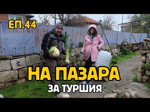 Видео: Епизод 44: ТУРШИЯ тайм | Коледни Лампички | На селския пазар | Живот на Село