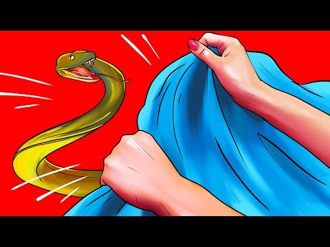 Видео: Как поймать змею, которая заползла к вам домой