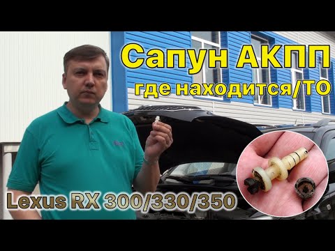 Видео: Сапун АКПП Lexus RX 300/330/350 где находится