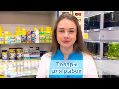 Видео: Товары для рыбок