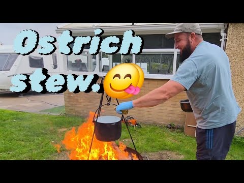 Видео: Готовлю рагу из страуса по-цыгански на костре. #мотивация