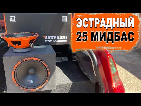 Видео: Панч-машина для твоего тыла! DL Audio Gryphon Pro 250 Midbass