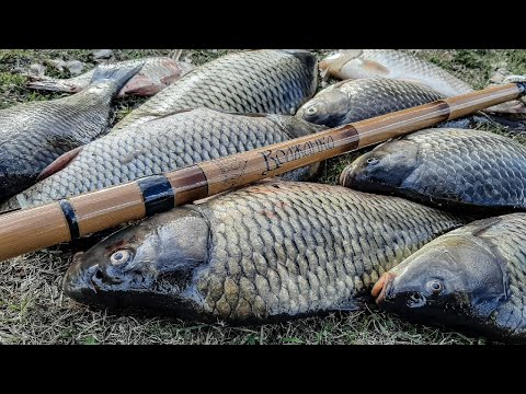 Видео: НАШЁЛ КАРАСИХ НА МЕЛКОВОДЬЕ!!! Карась на боковой кивок рыбалка 2022