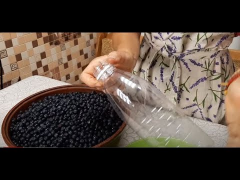 Видео: ЗАГОТОВКА ЧЕРНИКИ СОХРАНЯЕТ ВКУС И ПОЛЬЗУ @obovsemsmarusya