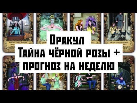 Видео: Обзор колоды Оракул Тайна чёрной розы 🌹 + прогноз на неделю