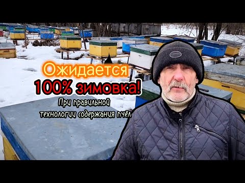 Видео: И клещ не страшен! При правильной технологии содержания пчёл ожидается 100% зимовка!