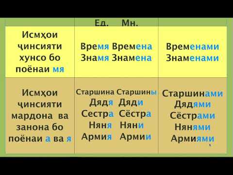 Видео: Русӣ меомӯзем. Дарси 20: Творительный падеж существительных множественного числа