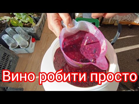 Видео: Вино робити, просто