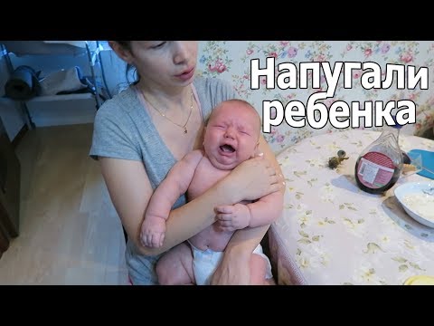 Видео: VLOG: Вова испугался / Друзья в шоке от хейтеров