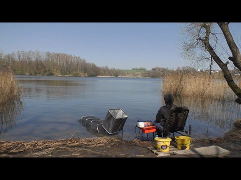 Видео: ЗАКОРМИЛ ПОД КАМЫШ И ПОНЕСЛАСЬ😊 ЛОВЛЯ ПЛОТВЫ НА ЛЕГКИЙ ФИДЕР ВВЕСНОЙ. НАКОНЕЦ-ТО ВЕСНА СНОВА ПРИШЛА!
