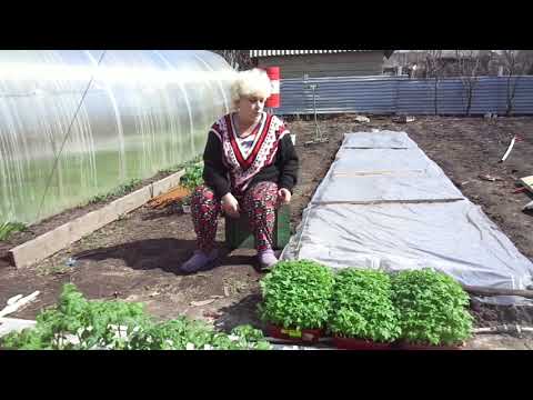 Видео: ГРЯДКА ДЛЯ ТОМАТОВ ГОТОВА! Ольга Чернова.