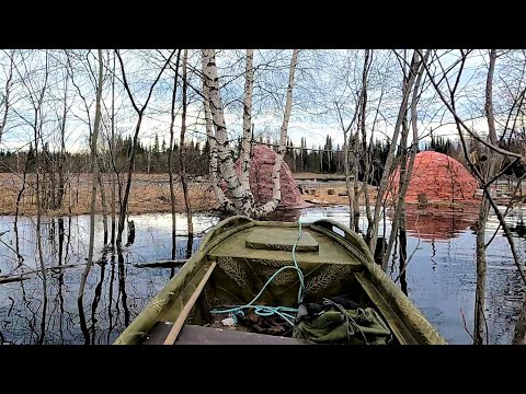 Видео: ВЕСНОВКА 2022 \ Часть 12 \ РЕЗКИЙ ПОДЪЁМ ВОДЫ \ПОЛОВОДЬЕ \ СРОЧНАЯ ЭВАКУАЦИЯ
