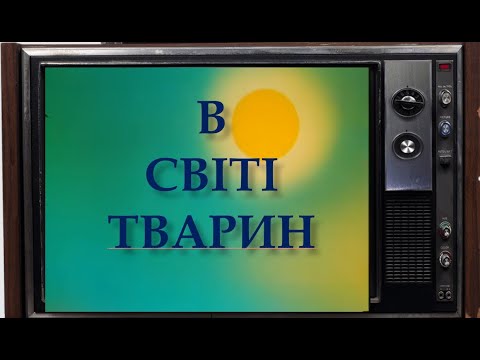 Видео: В світі тварин.