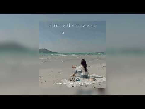 Видео: Нервы — Слишком влюблен | slowed + reverb |
