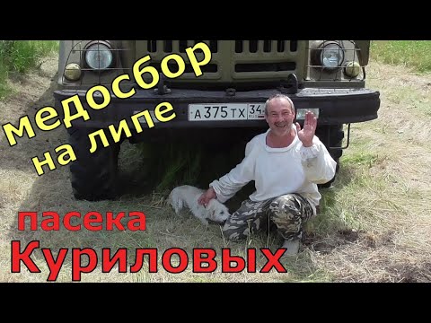 Видео: По всем пасекам леса / пасека Куриловых / Один день из жизни пчеловода.