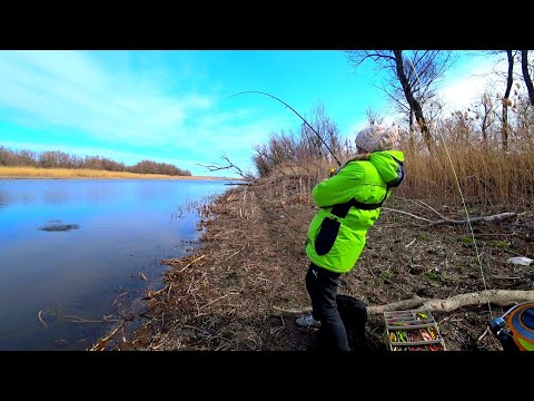 Видео: поймали рыбу С БОНУСОМ!!! ТАСКАЕМ ОДНУ ЗА ОДНОЙ рыбалка весной 2020